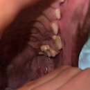 메이플 동물의료센터 이미지