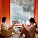 숲속옹달샘도서관 이미지