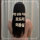 모도리 | 부천 상동 미용실 클리닉 후기 &#39;모도리 미용실&#39;