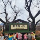 김해유아체험원- 숲 속 목공놀이🪵 이미지