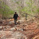 주성카써비스 이미지