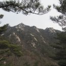 [백파 산행기] ☆… 강골(强骨)의 수락산(水落山)에서 (1) 이미지