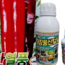 한국농약씨앗 이미지