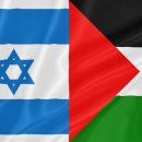 미미기업 이미지