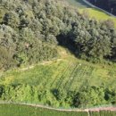 공근 보건지소 이미지