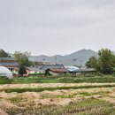 밤두둑마을 이미지