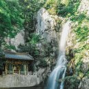 내송2길 | 🌿 2026년 8월 양산 가볼 만한 곳.
