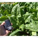 복수농장 이미지