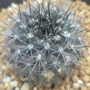 O.K 동물병원 이미지