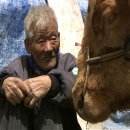 워낭소리 이미지