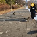 삼평어린이공원 이미지