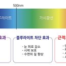 으뜸플러스안경 원주점 이미지