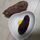 영양빵 | 강원도 고구마빵 - 찐 영양만점 구황작물빵 한입감자 후기