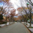 장산마을 이미지