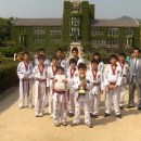 영일태권도장 이미지