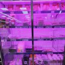 시우축산 이미지