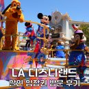 원라지에터 | 미국 LA 디즈니랜드 티켓 가격 비교 파크호퍼 라이트닝레인 후기 LA 여행