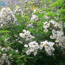 가좌근린공원 이미지