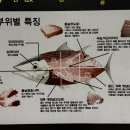 지브로참치 이미지