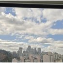 든든한 행정사 사무소 이미지