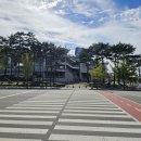 종합운동장 가로수길 이미지