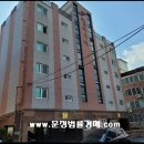 펠리시떼 이미지