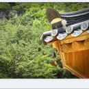 풍경소리 이미지