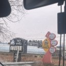 익산애견테마파크 이미지