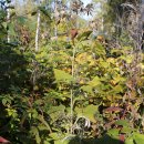 도감민박 이미지