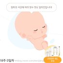[임신일기]17주~21주 임신 시기별 증상 및 기록, 아기의 성장상태, 태동후기!