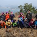 백우주유소 Daum카페