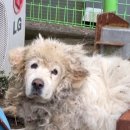 평동산단3번로 이미지