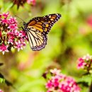 그래그래 이미지