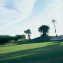 로얄골프랜드 이미지