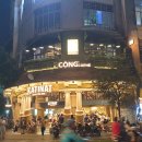 콩(CONG) 티스토리
