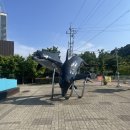 거제 아쿠아리움 “거제 씨월드” 방문 후기