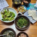 자연주의 조산원 | 제주 자연주의출산 김순선 자연조산원 출산후기 1