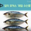 고등어 효능 고등어 칼로리 제철 이미지