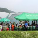 그린레일 이미지