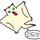 케키당 이미지