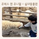 승연전자 | 쥬벅스 앤 쥬니멀 :: 실내라서 더 좋은 체험형 동물농장 / 인천 실내동물원