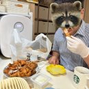 하린통닭 이미지