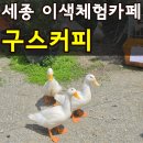 장두못근린공원 건너편 | 세종 구스커피 내돈내산 거위 먹이주기+계곡 물놀이+모래놀이까지 가능?