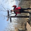 대전둘레산길(3구간) | 정기봉 능선을 넘자 계절이 바뀌었다｜대전둘레산길 3구간 머들령 12.5km 종주 (태실-정기봉-머들령...