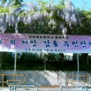 일로-9 이미지