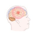 브니엘요양병원 이미지