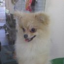 몽이미용실 이미지