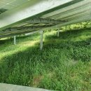 한국쏠라뱅크 태양광발전소 이미지