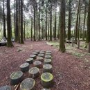 붉은오름자연휴양림 이미지