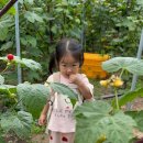 그린농원 이미지